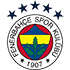 Fenerbahçe logo