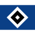 HSV logo
