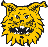 Ilves logo