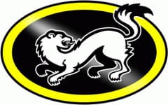 Karpat logo